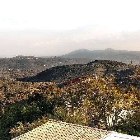 Infinity Kato Pavliana