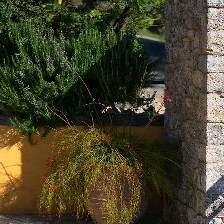 Infinity וילה Kato Pavliana