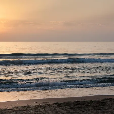 فيلة Infinity Kato Pavliana