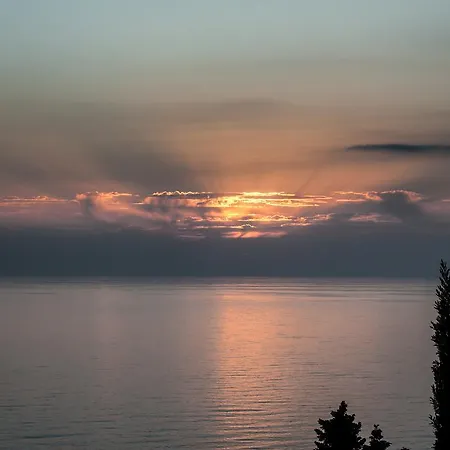 فيلة Infinity Kato Pavliana