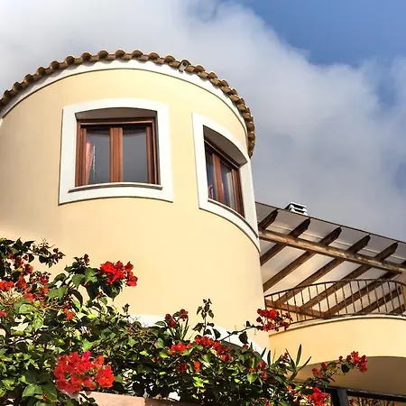 Infinity Kato Pavliana