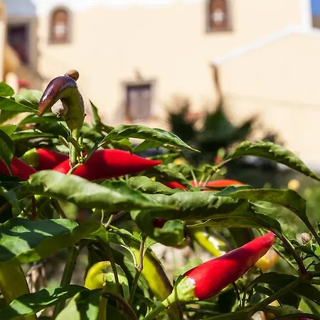 Villa Infinity Kato Pavliana